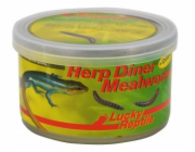 Lucky Reptile Herp Diner - mouční červi Mouční červi 35g