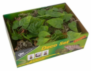 Lucky Reptile Deco Set Jungle