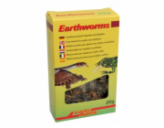 Lucky Reptile Earthworms 10g