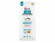 Dry food for adult dogs small and medium breeds - BRIT Care Grain-free Adult Salmon- 12 kg