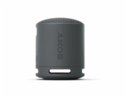 SONY SRS-XB100B
