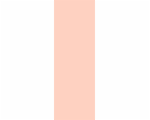 3036019