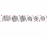 3730061 3730061