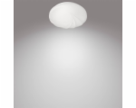 4097597