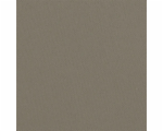 4339401