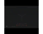 4447831