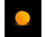 4899894