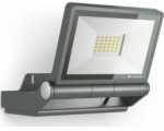 5253007