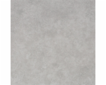 5326556