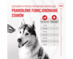 5554182
